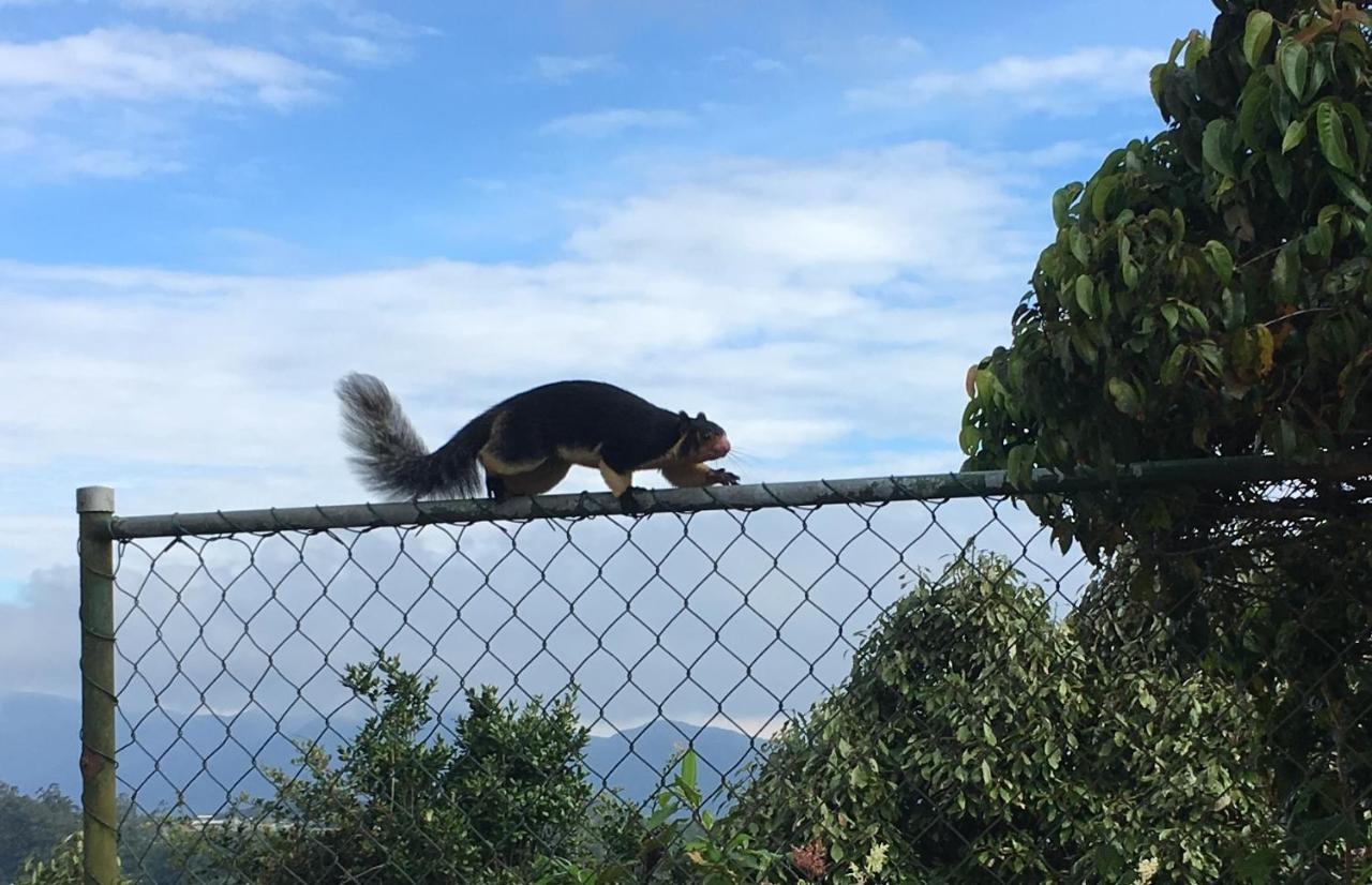 Tranquil Villa Nuwara Eliya Eksteriør bilde
